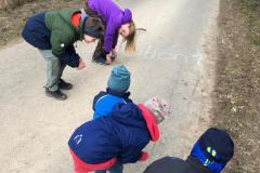 IMG-20240310-WA0031